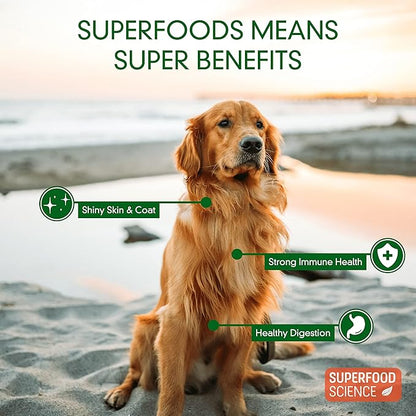Hypoallergenic Healthy Dog Treats: Plant-Based Vegetarian Dog Treats w/Sweet Potato, Chia, Flaxseed & Coconut Oil for Skin & Coat, Gluten-Free Vegan Protein Dog Training Snack, 5 oz