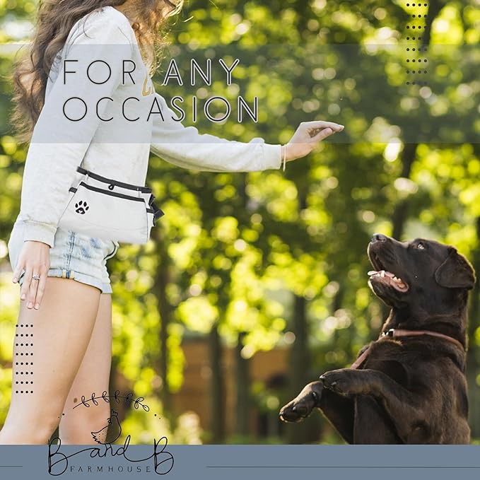Dog Treat Pouches for Pet Training - Custom Design - Dog Treat Bag for Dog Training & Behavior Aids - Fanny Pack for Dog Walking Bag - Puppy Training Treat Pouch & Snacks Bag Pouch (Grey)