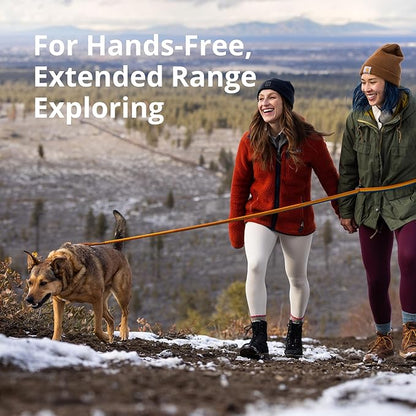 Ruffwear, Roamer Bungee Dog Leash for Running, Biking or Hiking, Can be Used Hand-Held or Hands-Free, Yellow Snow, 5.5'-7'