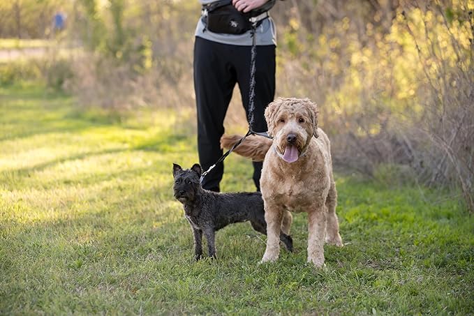 Hands Free Dog Leash - Hands Free Dog Leash for Large Dogs w/Water Bottle - Waterproof Waist Leash for Dog Walking 2 Dogs - Reflective Running Leash for Dogs- No Hands Dog Leash Waist Belt