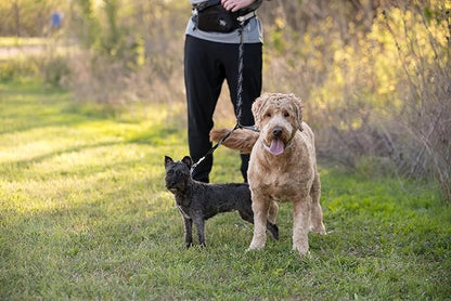 Hands Free Dog Leash - Hands Free Dog Leash for Large Dogs w/Water Bottle - Waterproof Waist Leash for Dog Walking 2 Dogs - Reflective Running Leash for Dogs- No Hands Dog Leash Waist Belt