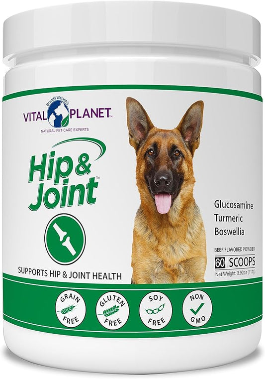 Vital Planet - Hip and Joint Support Powder Supplement for Dogs, with Glucosamine, Turmeric, Boswellia, MSM, and Collagen from Green-Lipped Mussel - Beef Flavored Powder, 60 Scoops, 111 Grams