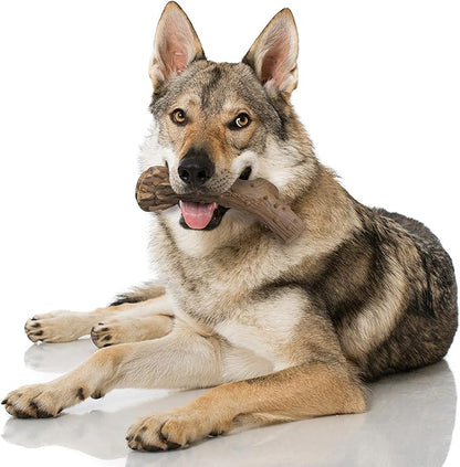 Nylabone Power Chew Antler Alternative Nylon Chew Toy for Dogs, Dog Toys for Aggressive Chewers, Venison Flavor, Large/Giant (1 Count)