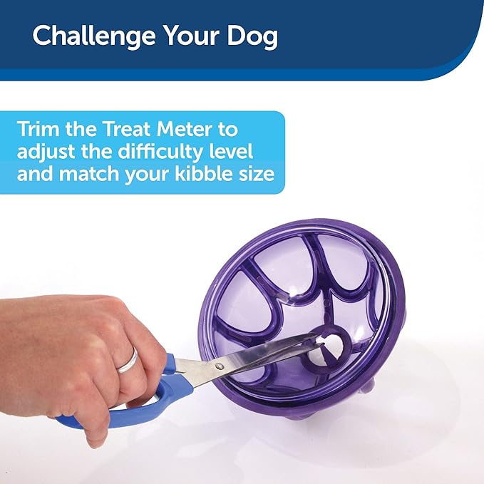 PetSafe Busy Buddy Kibble Nibble - Dog Toy - Treat and Food Dispenser - Slow feeder - Small