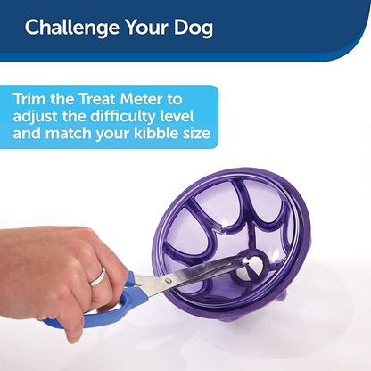 PetSafe Busy Buddy Kibble Nibble - Dog Toy - Treat and Food Dispenser - Slow feeder - Small