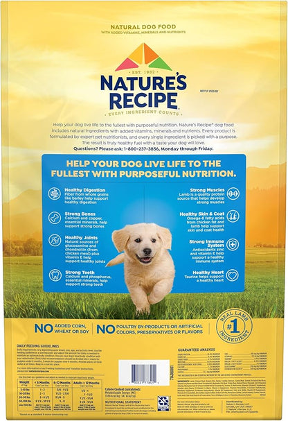Nature’s Recipe Puppy Lamb & Rice Recipe Dry Dog Food, 12 lb. Bag