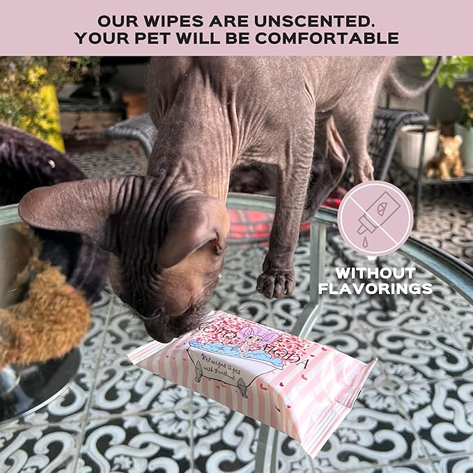 Wet wipes with Panthenol for sphynx cat for everyday use (1Pack/15Count)