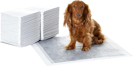 Amazon Basics Dog and Puppy Pee Pads with 5-Layer Leak-Proof Design and Quick-Dry Surface for Potty Training, Odor-Control Carbon, Regular Size, 22 x 22 Inch - Pack of 80, Gray