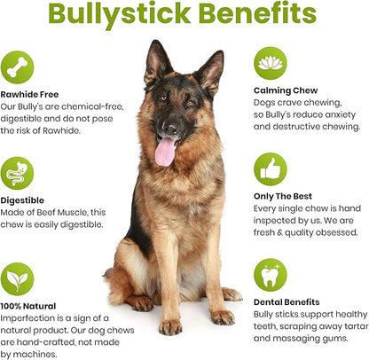 Sancho & Lola's Bully Sticks for Dogs Standard (10 Count) - High-Protein Beef Pizzle Dog Chews - No Antibiotics, No Growth Hormones, Hand-Selected and Inspected in the USA