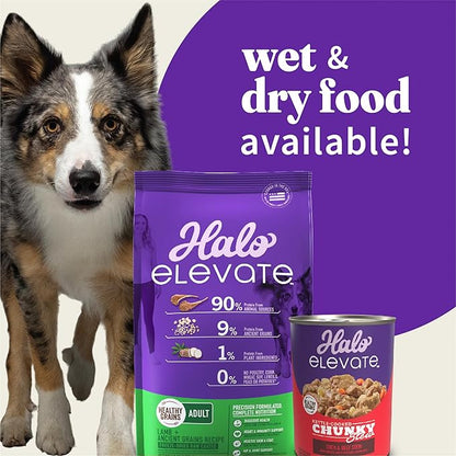 Halo Elevate Wet Dog Food, Healthy Grains, Smoky BBQ Braised Duck & Beef Stew with White Potatoes, Carrots & Brown Rice, 12.7oz (Pack of 6)