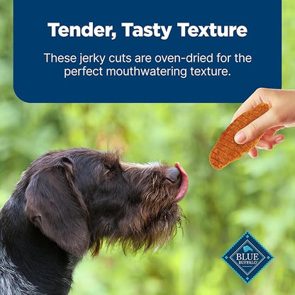 Blue Buffalo Nudges Jerky Cuts Dog Treats, Made in the USA with Natural Ingredients, Chicken & Duck, 16-oz. Bag