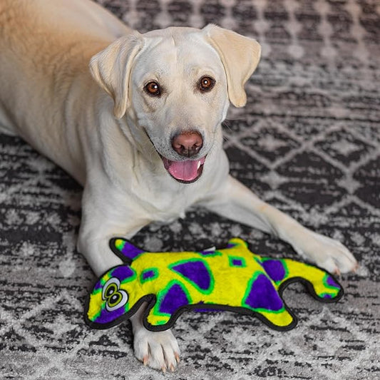 Outward Hound Durablez Tough Plush Squeaky Dog Toy, Gecko, Green, Large