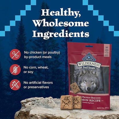 Blue Buffalo Wilderness Trail Treats High Protein Grain Free Dog Biscuits Crunchy Dog Treats, Salmon Recipe, 10-oz Bag