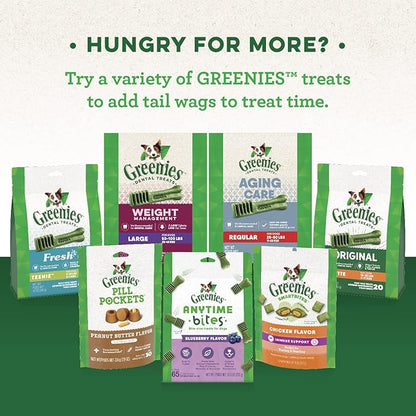 Greenies Gingerbread Flavor Regular Size Veterinarian-Recommended for Dental Care, Dog Treat Chews, Great Holiday Dog Stocking Stuffers, Limited Edition, 12 oz. Pack of 12