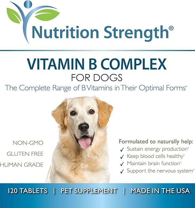 Vitamin B for Dogs, Complete B Complex for Dogs, Promote Blood Cell & Nervous System Health, Help Sustain Cellular Energy Production & Maintain Brain Function, 120 Chewable Tablets