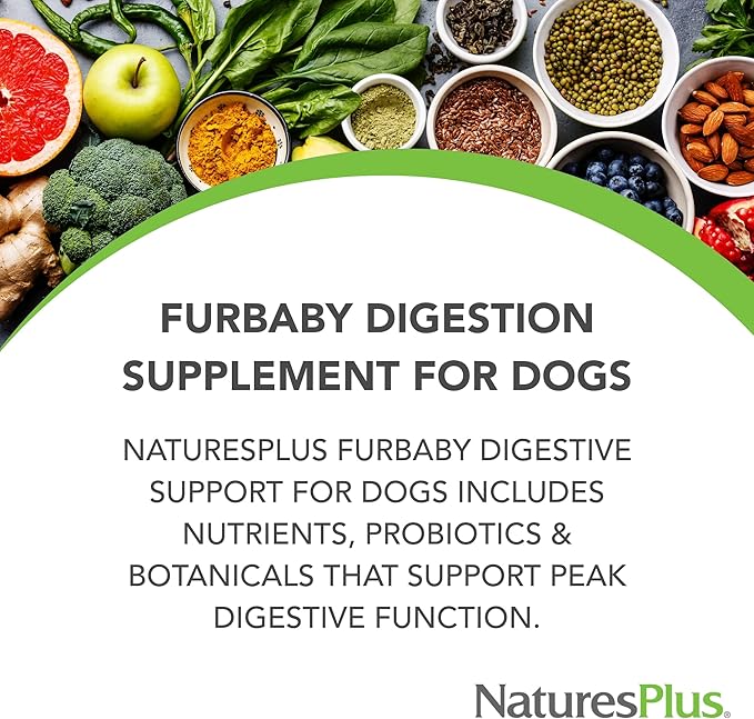 NaturesPlus FurBaby Digestive Support for Dogs - 7.4 oz - Promotes Optimal Digestion - Non-GMO - 60 Servings