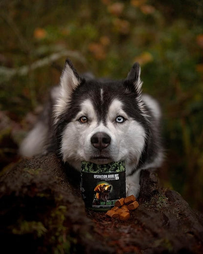 Operation Good Boy - SRE: Hip and Joint Supplement for Pets - 90 Count Soft Chews - 12.7oz - Made Natural Ingredients - Veteran Owned