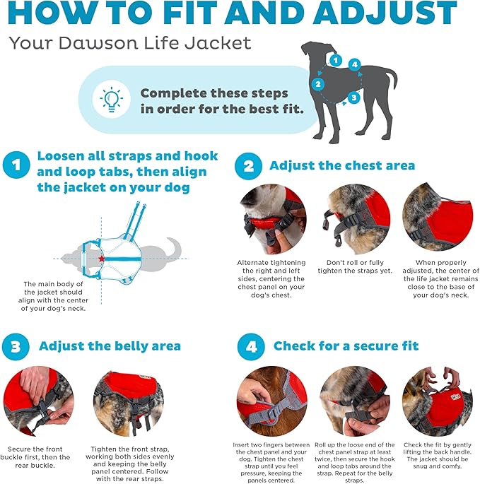 Outward Hound Dawson Swim Red Dog Life Jacket, XL