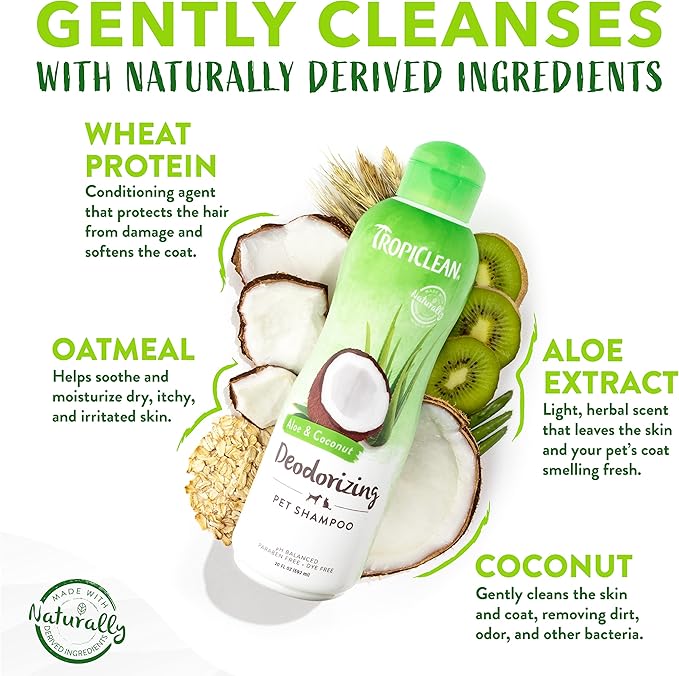 TropiClean Aloe & Coconut Deodorizing Dog Shampoo for Smelly Dogs | Odor Control Shampoo for Stinky Dogs | Natural Pet Shampoo Derived from Natural Ingredients | Cat Friendly | Made in the USA | 1 gal
