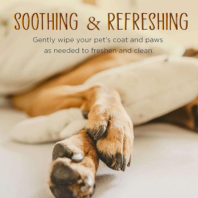 Dhohoo Dog Wipes, Dog Cat Grooming Wipes for Daily Use, Soft and Gentle Pet Wipes for Paws, Ear, Body and Butt, Portable 240 Wipes for Home and Travel Use