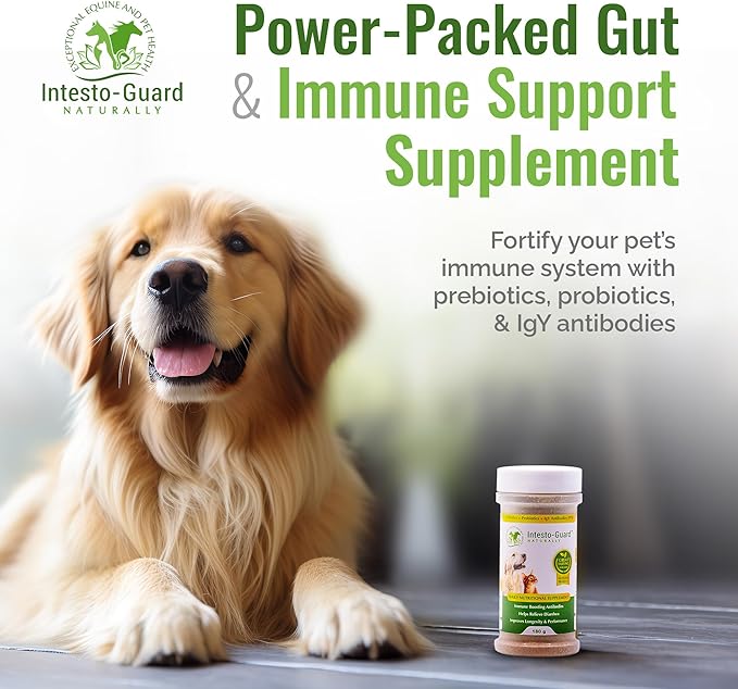 Powder Prebiotic Probiotics for Dogs & Cats Bowel Digestive Immune Support Supports Gut Flora Nutrition Immunity 180G Bottle - 90 Scoops (Powder)