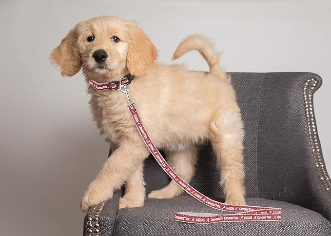 Pets First Collegiate Pet Accessories, Dog Leash, Alabama Crimson Tide, Small