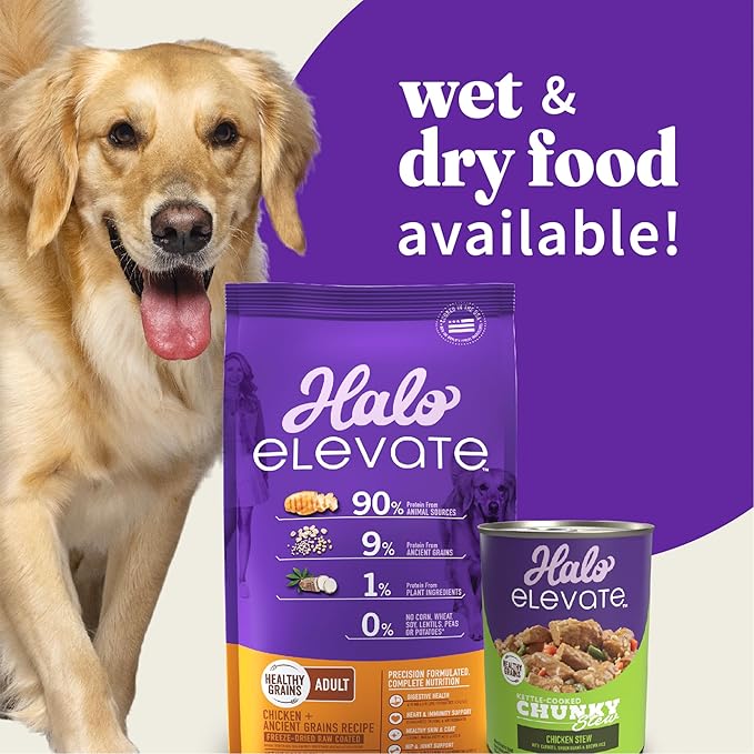 Halo Elevate Wet Dog Food, Kettle Cooked Chunky Healthy Grains Chicken Stew with Carrots, Green Beans & Brown Rice, 12.7oz (Pack of 6)