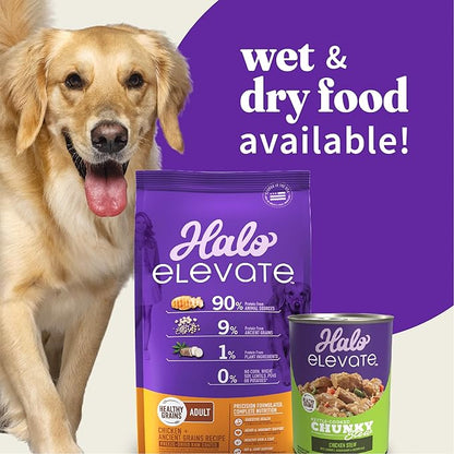 Halo Elevate Wet Dog Food, Kettle Cooked Chunky Healthy Grains Chicken Stew with Carrots, Green Beans & Brown Rice, 12.7oz (Pack of 6)