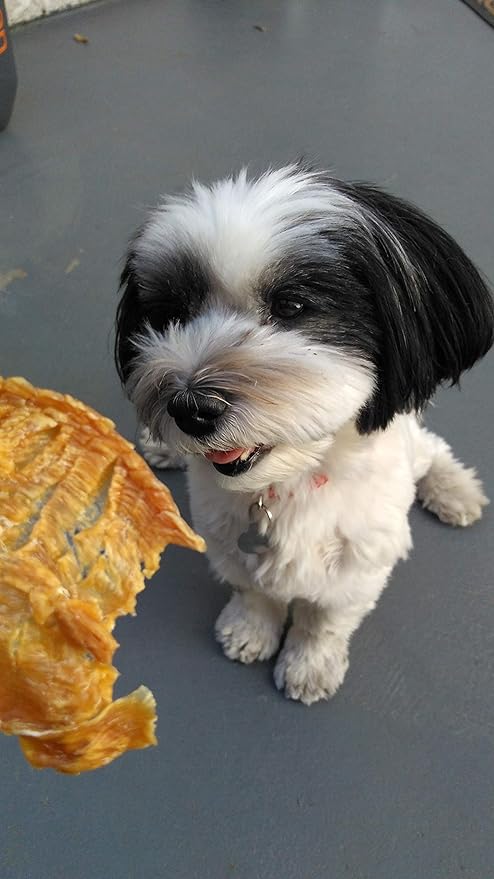 Made with Love | Chicken Jerky Treats | All Natural, 100% Chicken Breast, Human Grade, USDA Grade A, Cage Free, Grain Free, No Preservatives, Sourced & Made in USA, Great for Training
