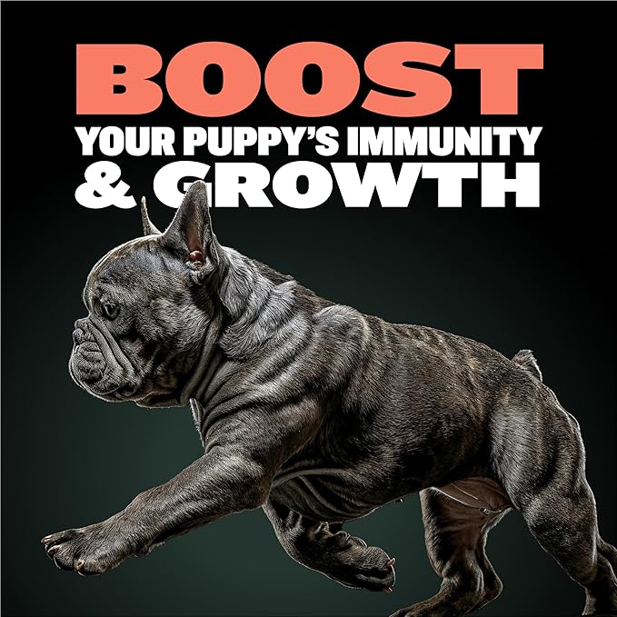 Bully Max 2-in-1 Puppy Soft Chews for Immunity & Growth - Puppy Dog Food Supplements and Vitamins for Health & Immune Support - Essential Dog Multivitamin for All Breeds, Small & Large Breed Puppies