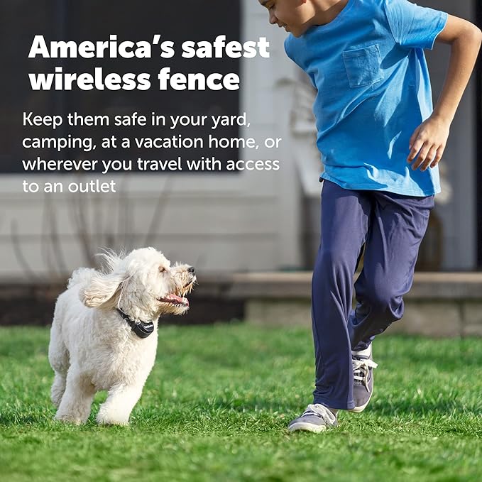 PetSafe Stay & Play Wireless Pet Fence & Replaceable Battery Collar - Circular Boundary Secures up to 3/4 Acre Yard, No-Dig, America's Safest Wireless Fence from Parent Company INVISIBLE FENCE Brand
