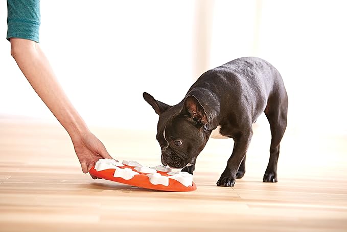 Outward Hound Nina Ottosson Dog Smart Dog Puzzle Interactive Treat Puzzle Dog Enrichment Dog Toy, Level 1 Beginner, Orange