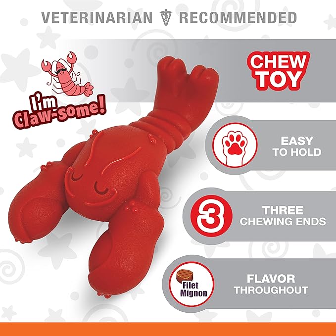 Nylabone Lobster Dog Toy Power Chew – Cute Dog Toys for Aggressive Chewers – with a Funny Twist! Filet Mignon Flavor, Small/Regular