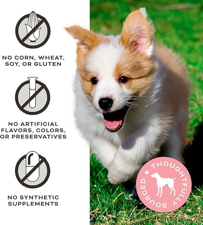 Primal Beef Jerky Dog Treats Made with Beef Bone Broth for Dogs, FriendChips Matter Chewy Dog Treat, 4 oz (Pack of 2)