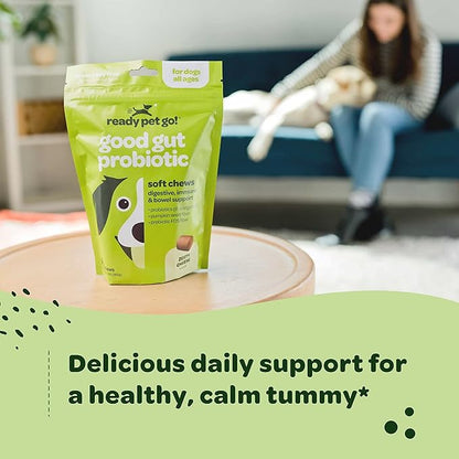 Probiotic Chews for Dogs Gut Health | Tasty Pro and Prebiotics for Dogs Digestive Health Immunity Itchy Skin & Seasonal Allergy Support with Pumpkin Dog Probiotics and Digestive Enzymes | 90 Chews