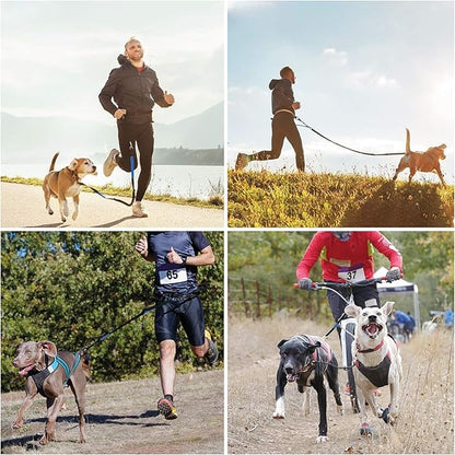 Hands Free Dog Leash with Waterproof Zipper Pouch for Running Walking Jogging Training Hiking Retractable Bungee Dog Running Waist Leash for Small Medium and Large Dogs Reflective Stitches