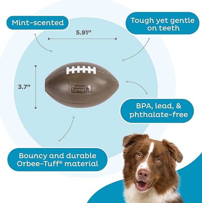 Outward Hound Sport Ballz Football Treat-Dispensing Fetch Ball Dog Toy