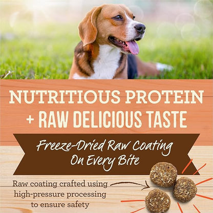 Merrick Healthy Grains Freeze Dried Raw Coated Kibble, Natural High Protein Dog Food, Salmon and Brown Rice - 22.0 lb. Bag
