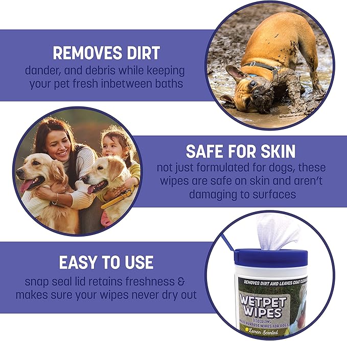 WETPET Wipes for Dogs, Lemon Scented, Grooming Wipes Remove Dirt & Grime, Deodorizing Easy to Use for Dogs & Puppies, Safe on Skin and Fur Single Pack