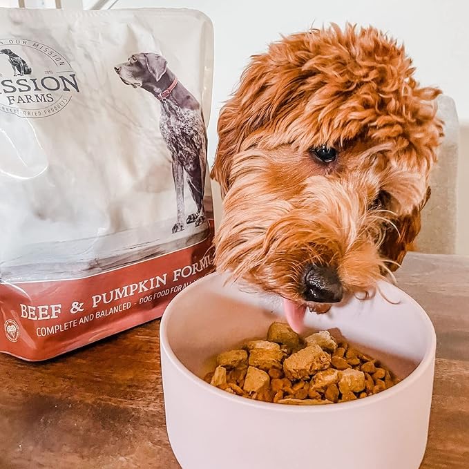 Mission Farms Freeze-Dried Raw Beef & Pumpkin Formula Dog Food, 16oz Bag