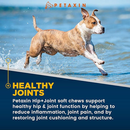 Glucosamine for Dogs – Advanced Hip and Joint Supplement for Dogs - Dog Joint Supplement for Joint Pain Relief and Mobility – Dog Glucosamine with Chondroitin, MSM, Turmeric - 120 Soft Chews