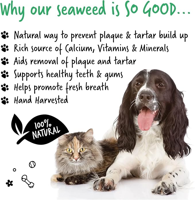 Plaque Off Remover for Dog Teeth & Bad Breath 100% Natural | Plaque Off No Toothbrush or Dog Toothpaste | Remove Dog Bad Breath & Plaque Remover for Dogs & Cats (Dog 70g)