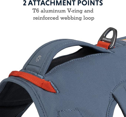 Ruffwear, Web Master, Multi-Use Support Dog Harness, Hiking and Trail Running, Service and Working, Everyday Wear, Slate Blue, XX-Small
