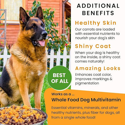 Olewo Original Carrots for Dogs – Fiber for Dogs Keep Poop Firm, Digestive Dog Food Topper, Skin & Coat Support, Dehydrated Whole Food Dog Multivitamin, Gut Health for Dogs, 1 lb