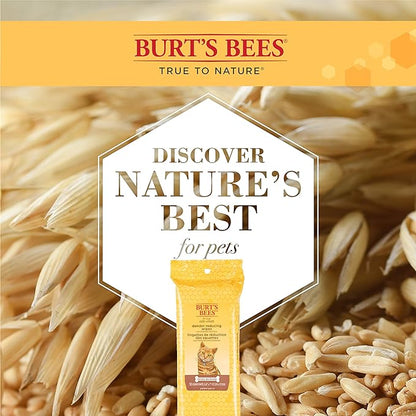 Burt's Bees for Pets Cat Naturally Derived Dander Reducing Wipes - Kitten and Cat Wipes for Grooming - Cruelty Free, Formulated without Sulfates and Parabens, Made in the USA, 50 Count - 6 Pack