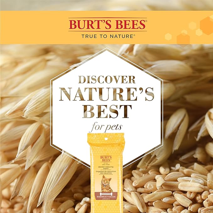 Burt's Bees for Pets Cat Naturally Derived Dander Reducing Wipes - Kitten and Cat Wipes for Grooming - Cruelty Free, Formulated without Sulfates and Parabens, Made in the USA, 50 Count - 2 Pack