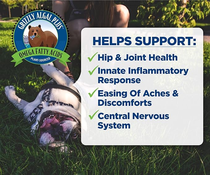 Grizzly Algal Plus Omega Fatty Acids Supplement for Dogs & Cats, 32 Fl Oz - Vegan, Plant-Sourced & Made in USA Algal Oil Omega 3-6-9, Healthy Skin & Coat