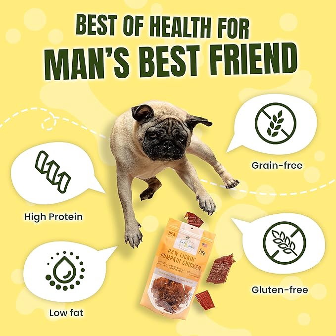 Gourmet Jerky Dog Treats - Natural Dog Treat Chicken Jerky for Dogs, Nutritious and Tasty Dog Jerky Treats Made in USA only, Cage-Free, No Additives (Mika & Sammy's Paw Lickin Pumpkin Chicken 12 oz)
