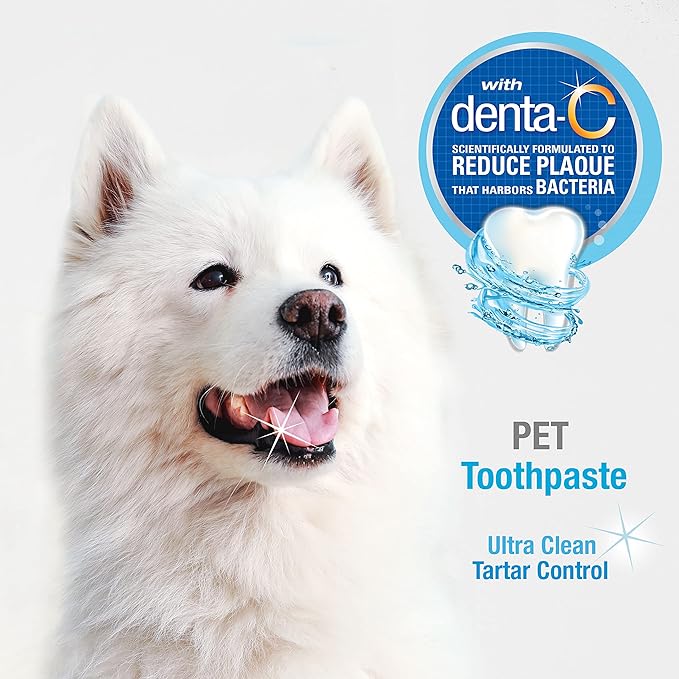Nylabone Advanced Oral Care Tartar Control Dog Toothpaste Original 2.5 oz. (1 Count)