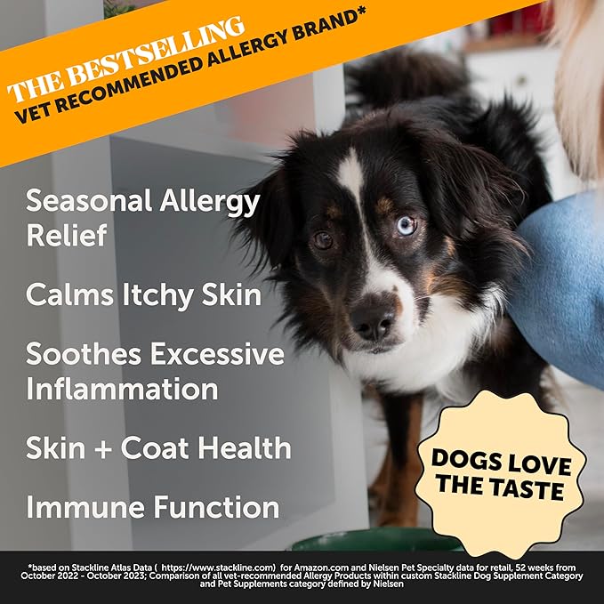 Pet Honesty Dog Allergy Relief Salmon Oil Anti-Itch for dogs, Itch Relief & Omega-3 for Dogs, Dog Skin and Coat Supplement, May Reduce Normal Shedding & Itching, Joint, Brain & Heart Health (16 oz)